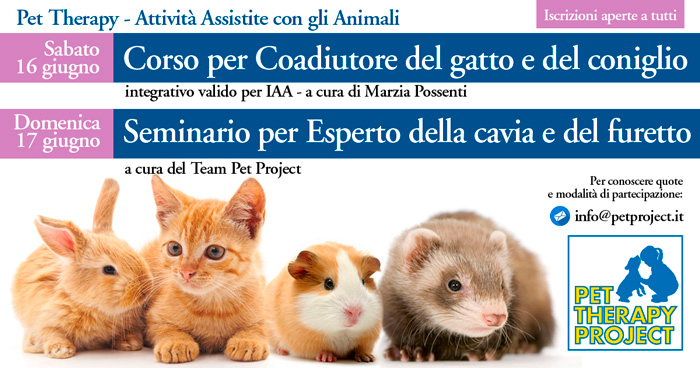 coaudiutoregattoconigliocaviafuretto_web